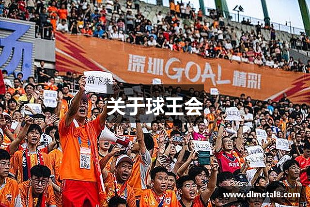 关于球王会